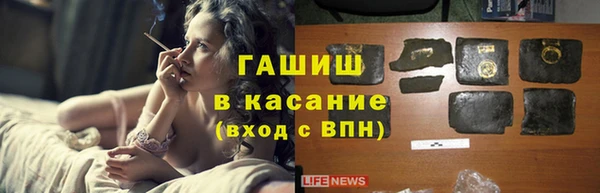 стафф Кодинск