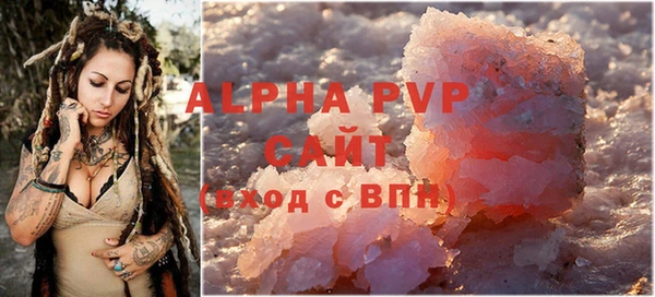 стафф Кодинск