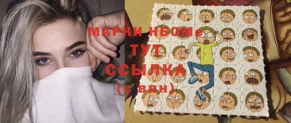 стафф Кодинск