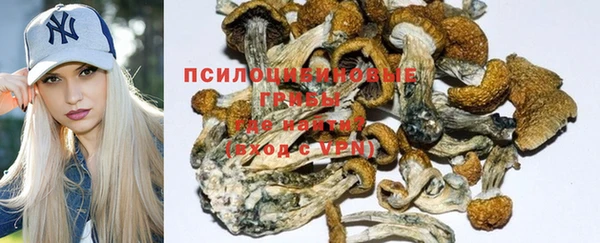 мяу мяу мука Козловка