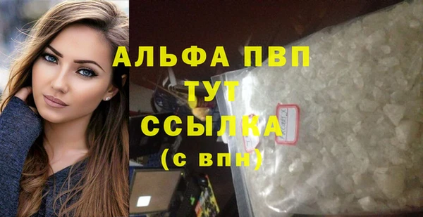 стафф Кодинск