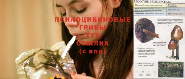 стафф Кодинск