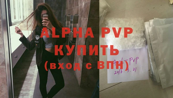 стафф Кодинск