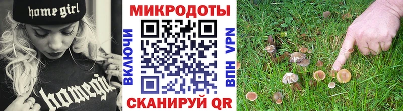 Галлюциногенные грибы Psilocybe Купить Жирновск